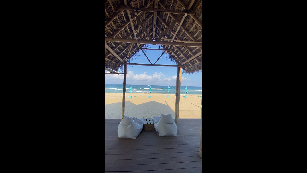 Beach View shorts