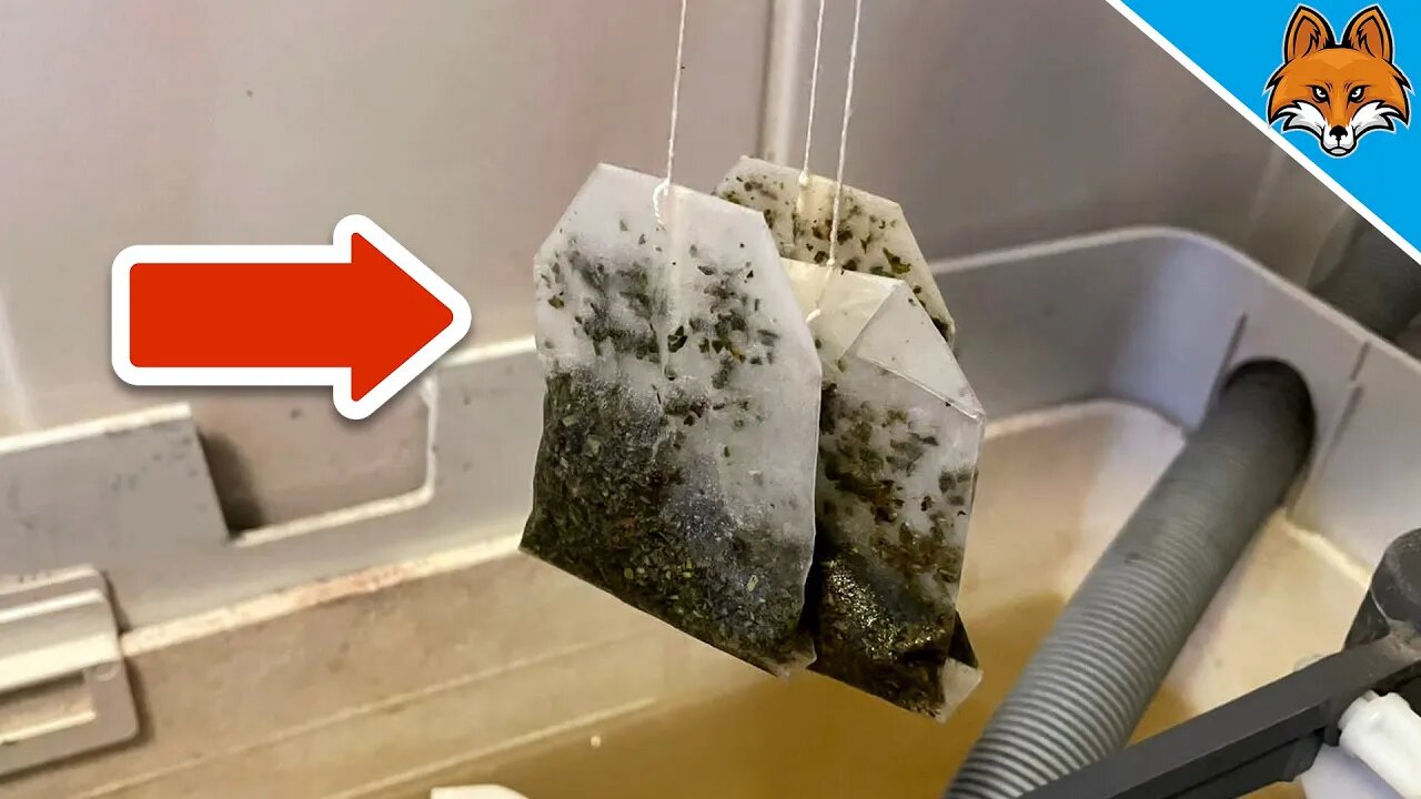 EVERYONE was AMAZED with what i did with 3 Tea Bags 💥 (Suprising) 🤯