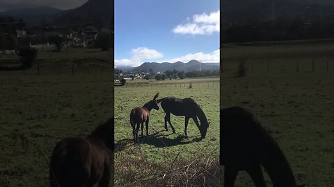 Lunch time in Mexico