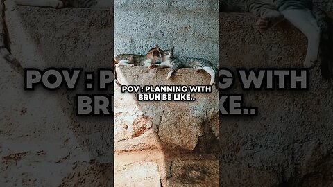 Planning with bro be like...😾😾