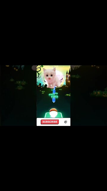 cat singing counting star part 1#shorts #music #cat