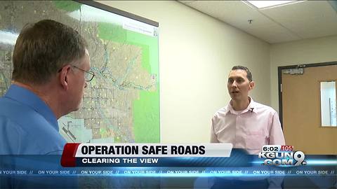 Growing hazard: Plants block drivers’ view