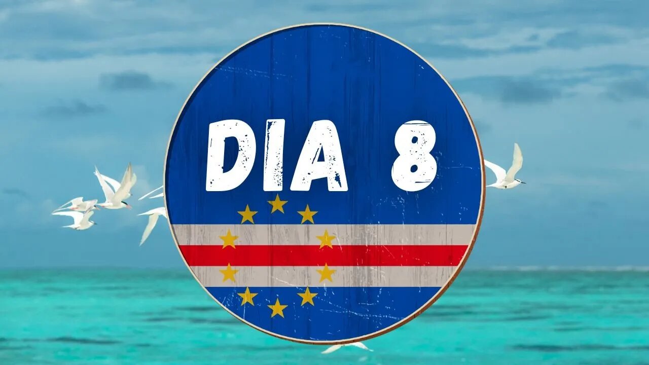 DIA 8