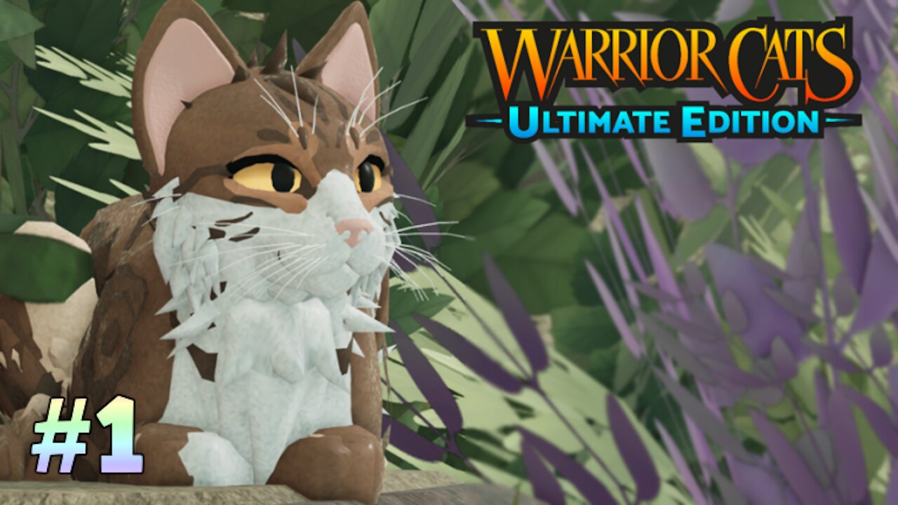 Warrior Cats: Ultimate Edition Roblox Gameplay #1 - creating Warrior Cat, exploring the world