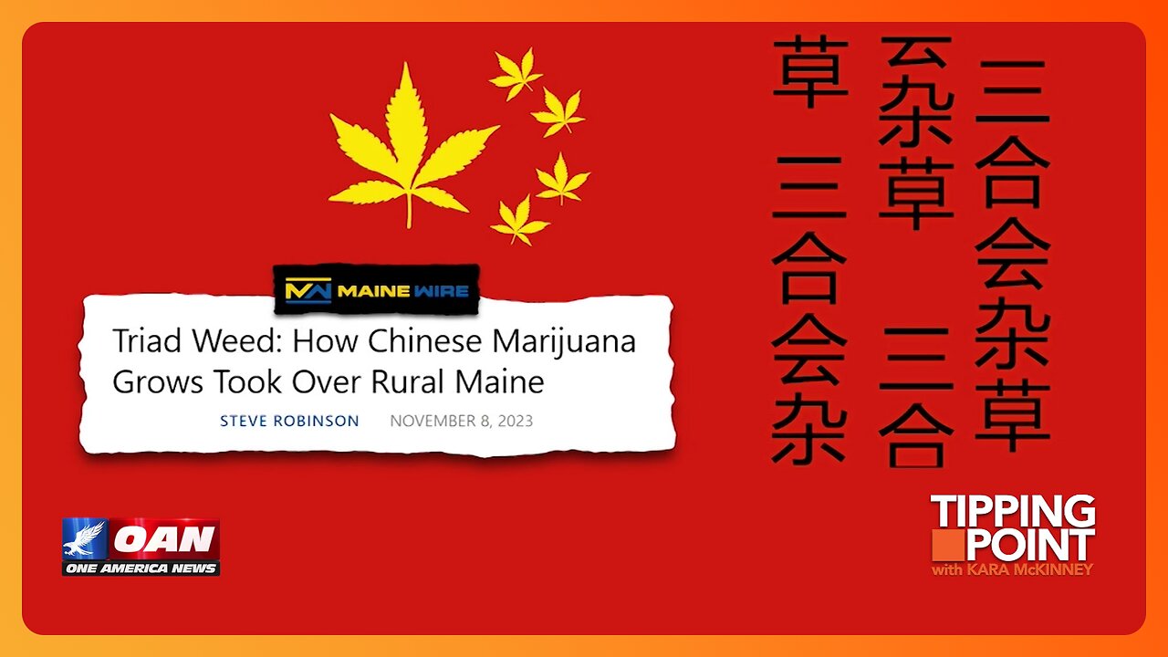 Chinese Illegal Drug Operation Running Mafia Style Across Maine | TIPPING POINT 🟧