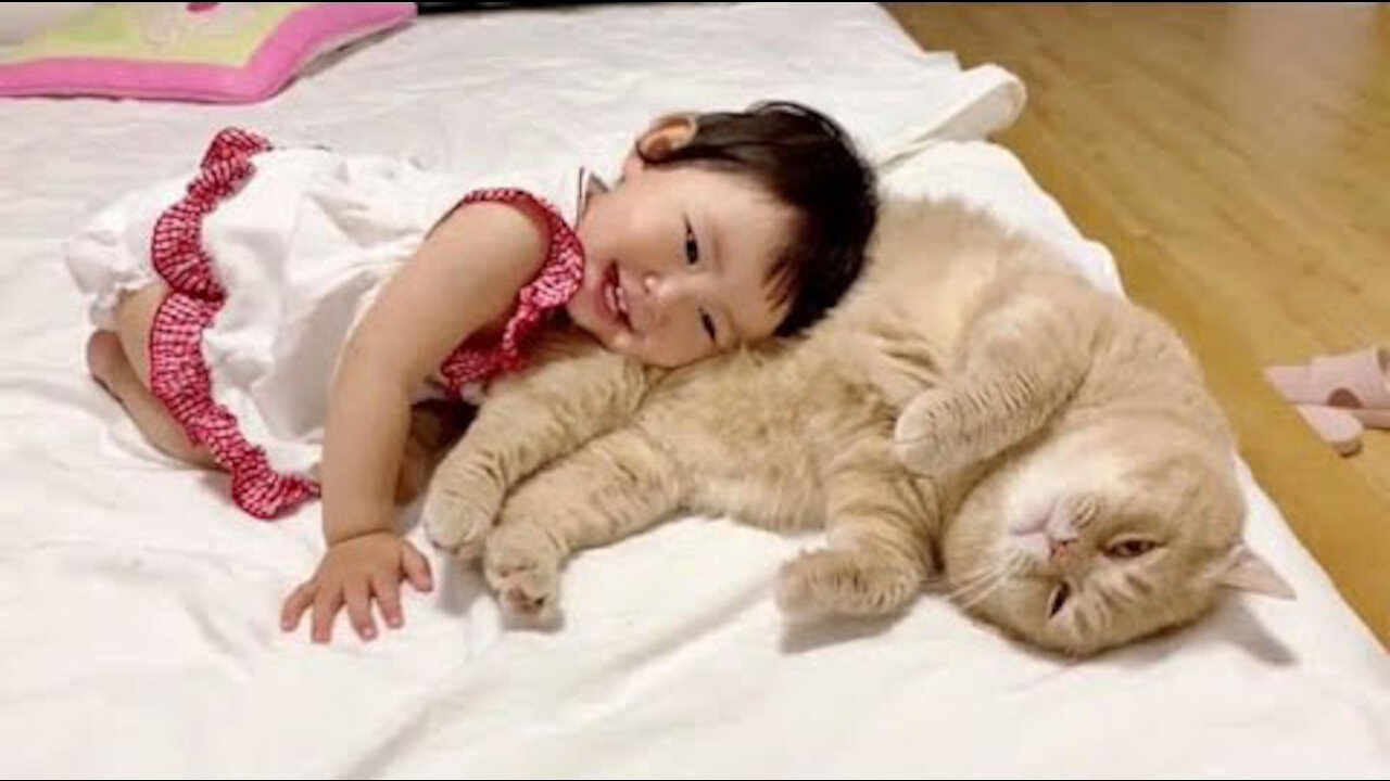 Loving Family Cat Always There For His Little Human Sister