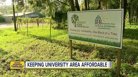 New affordable housing coming to Tampa's University Area
