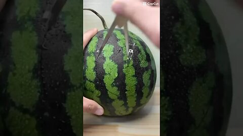 #you #wont #believe #what #is #inside #watermelon #lol #funny #shorts #fitness #bodybuilding #muscle