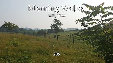 Morning Walks with Yizz 205