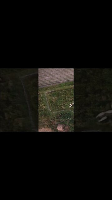 How we move sheep in the pasture #sheep #lambs #homestead #iowa