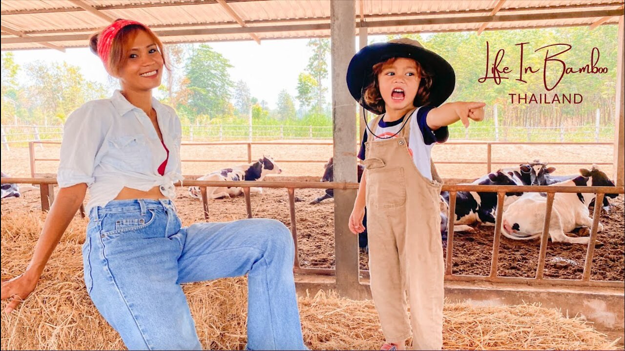 An Unpleasant Surprise....On A Perfect Day In Rural Thailand 🇹🇭