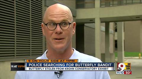 Police searching for brazen butterfly bandit