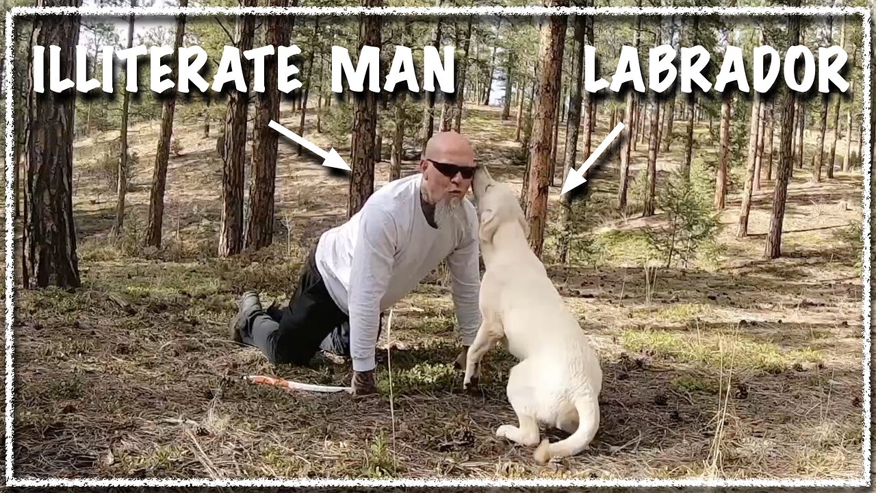 Labrador takes Illiterate Man Camping