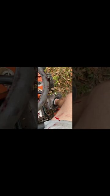 Clearing land is not for the faint of heart