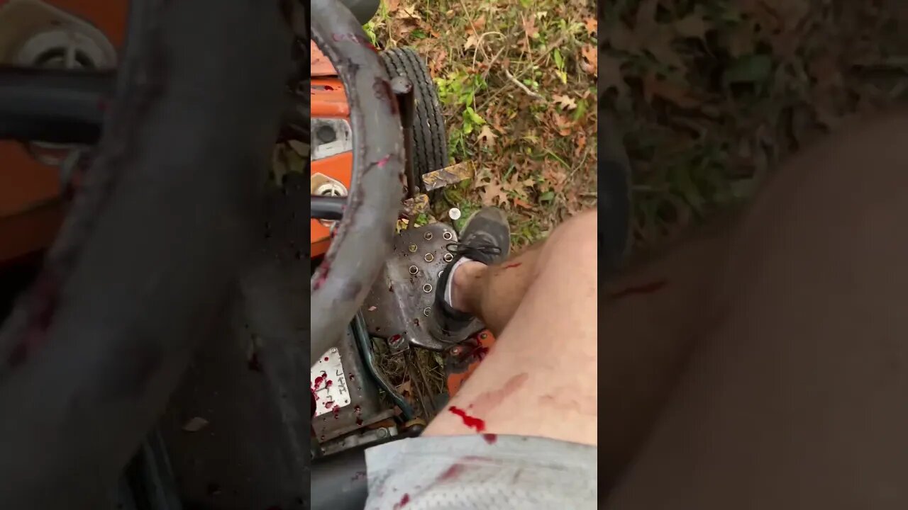 Clearing land is not for the faint of heart