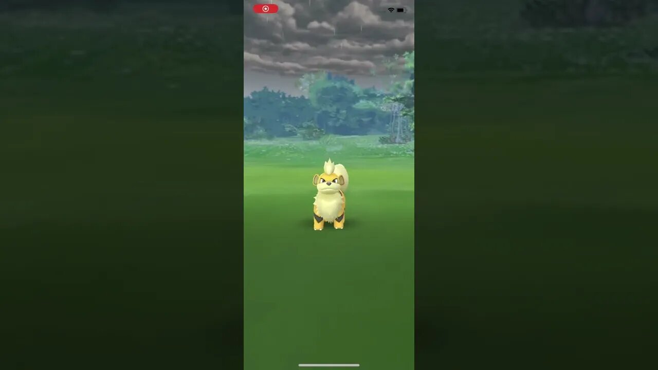Shiny Growlithe
