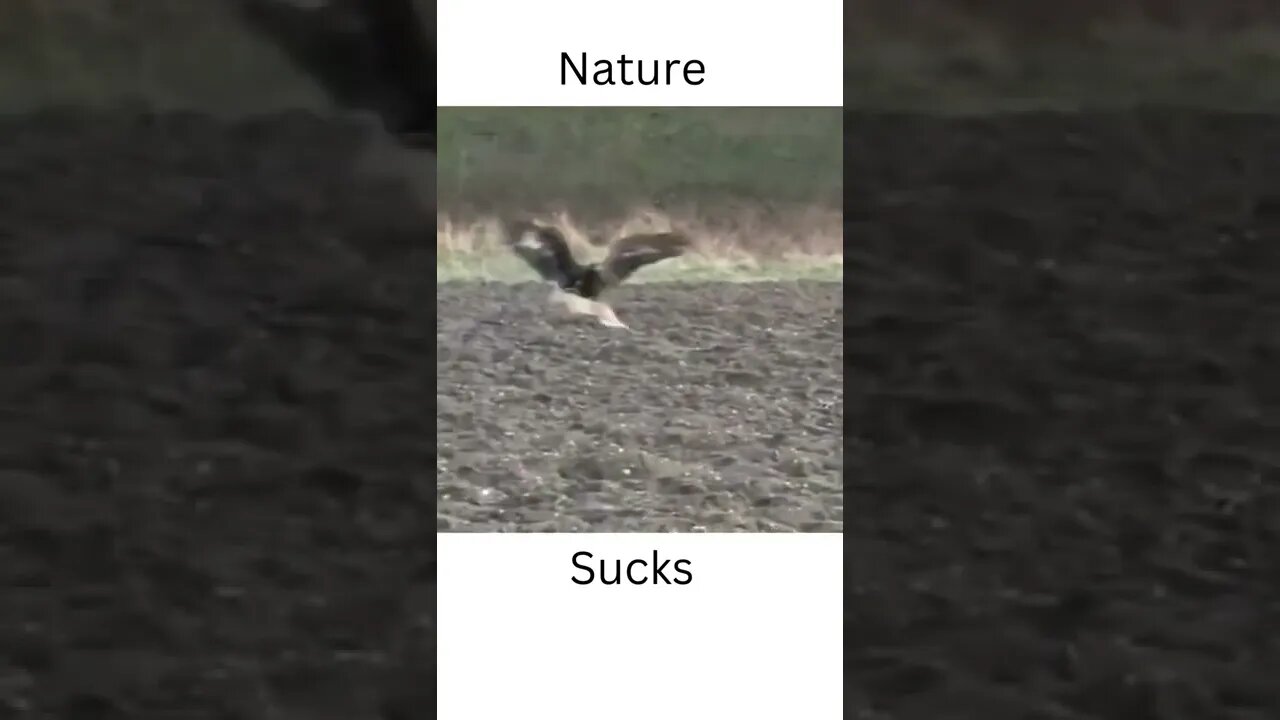 Nature Sucks