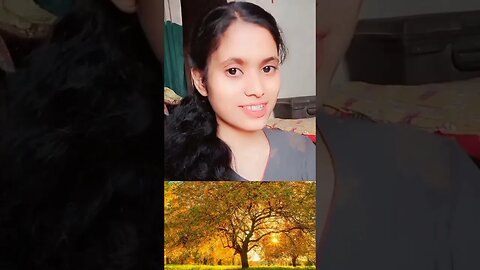 संस्कृत में क्या कहते हैं पेड़ को 🤔🌳🌳🌳🌳