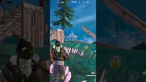 Swarm the Enemy #epic #fortnite #gaming