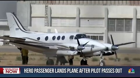 Pilot 'DIES SUDDENLY' Mid-Flight, Passenger Lands Aircraft Safely