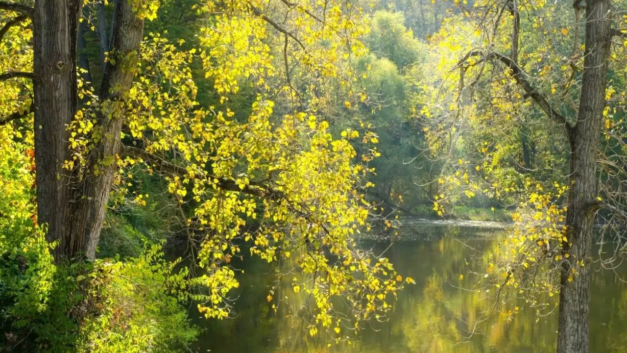 Dam olish uchun gõzal musiqa, tichlantiruvchi musiqa,