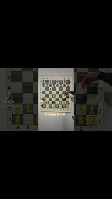 This Chess Game ENDED in 11 Moves!