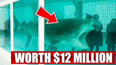 Why This “Dead Shark” Is Worth $12 Million