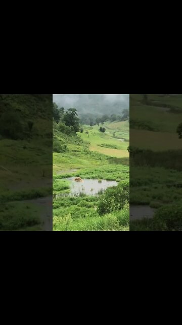 Flood update 118mm in 12 hours