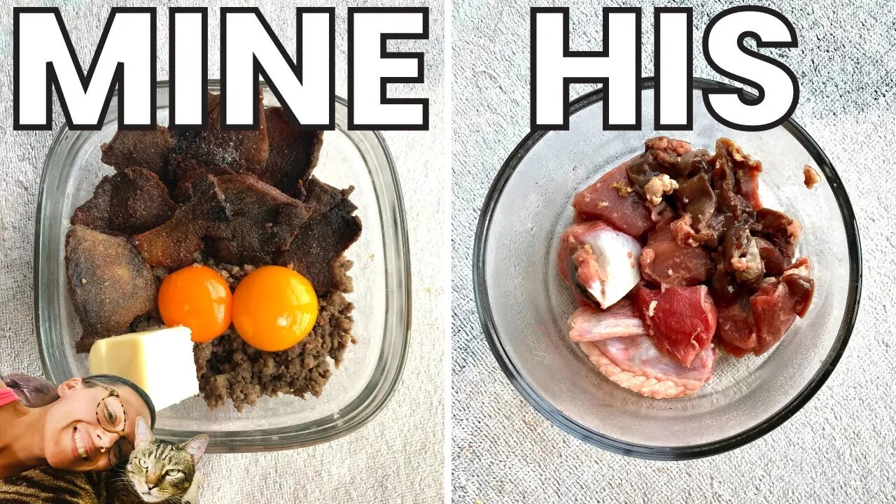 My carnivore diet VS my cat's carnivore diet