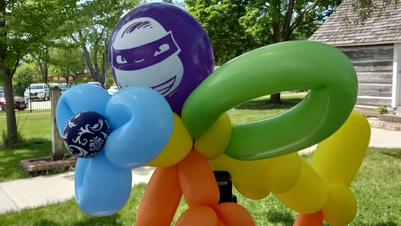 Pass or Fail? Balloon Ninja Turtle Flying a Plane
