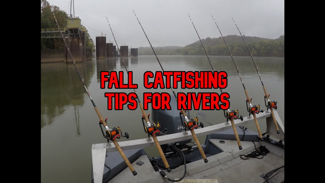 Catfishing Tips and Techniques