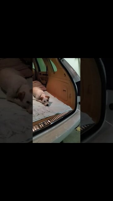 Ares the sweet heart wait in the car