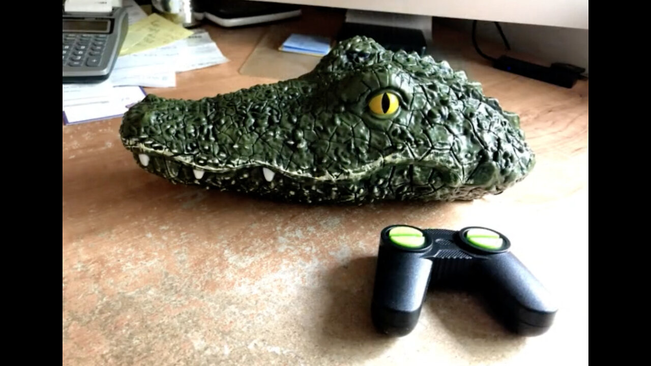 Maiden Voyage of my Remote Control Crocodile Head at the Park