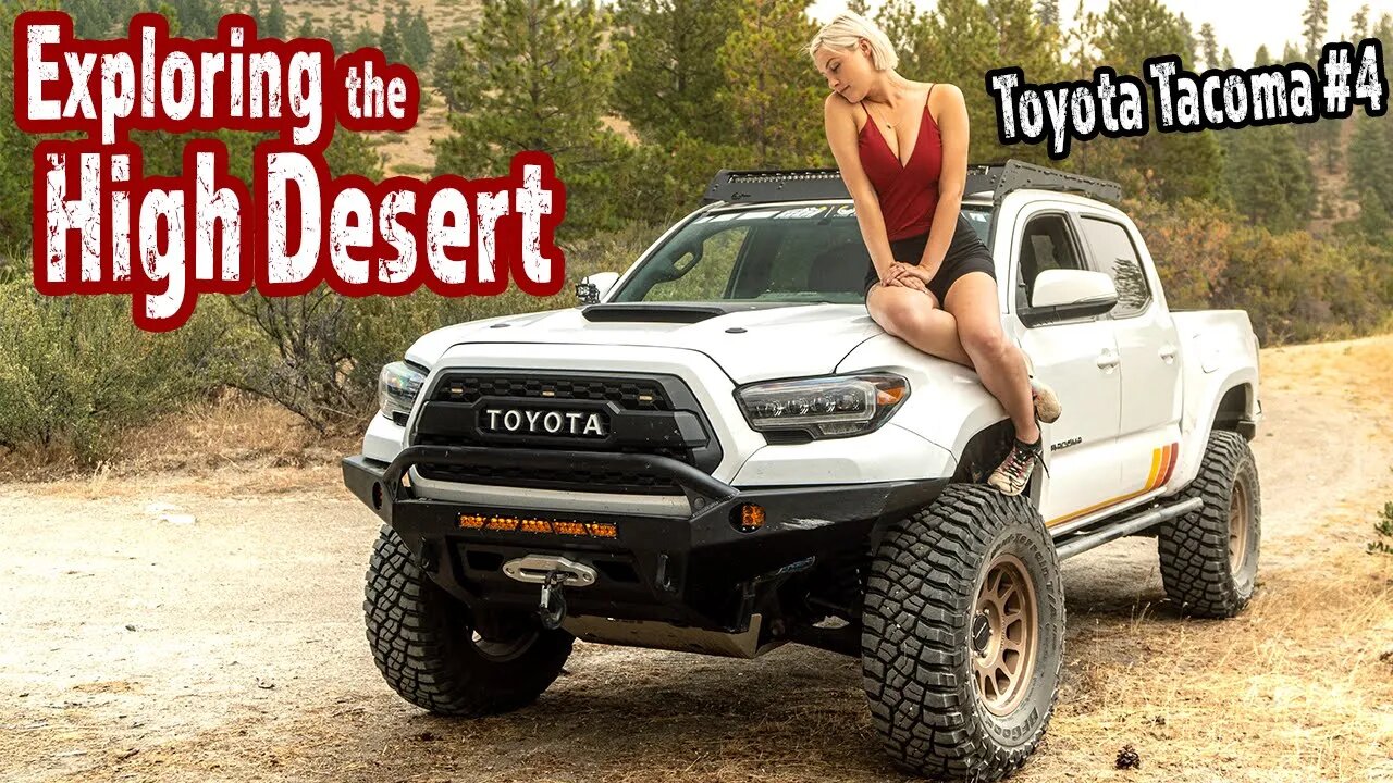 Why we LOVE the Toyota Tacoma and keep BUYING them + Exploring & Build Walk Around