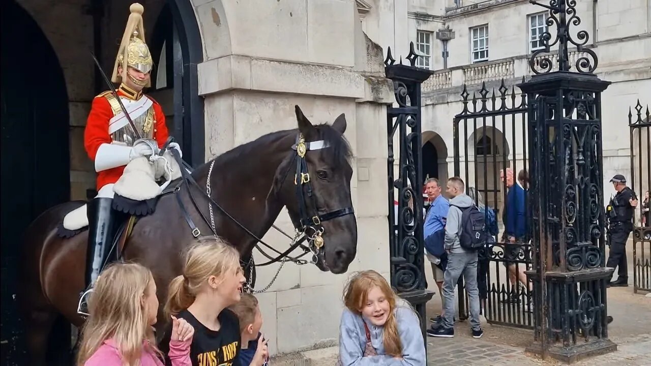 This horse likes the back.of your head #thekingsguard