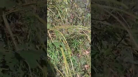 Something is in there.