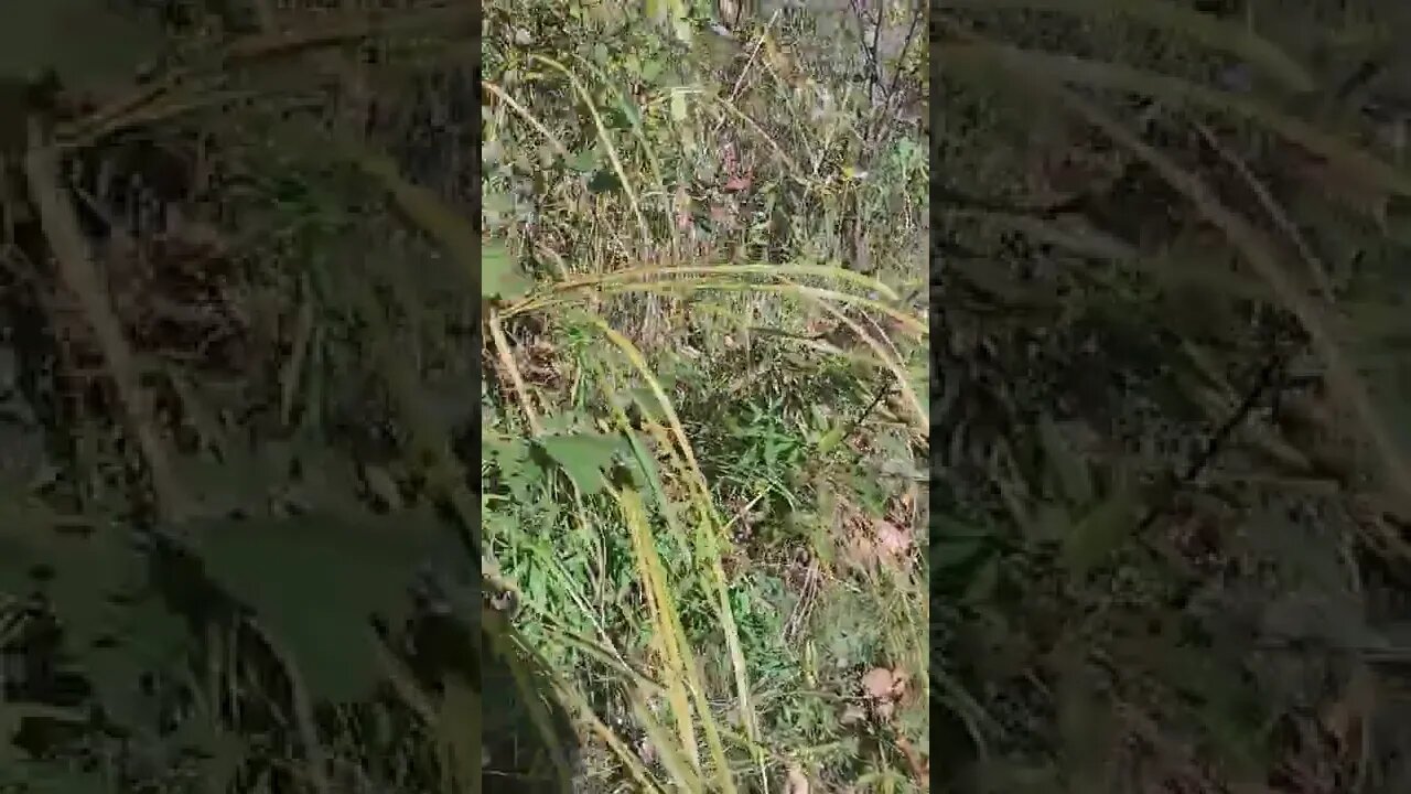 Something is in there.