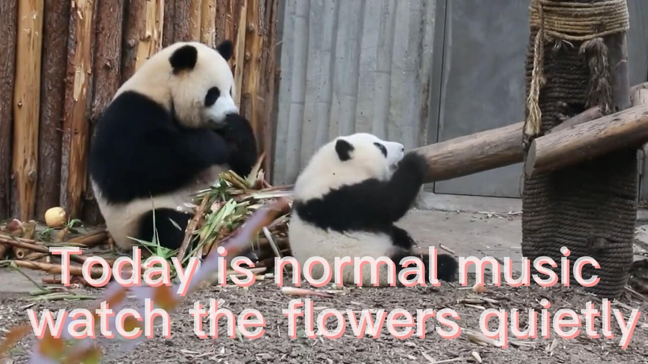 Do you like your family?