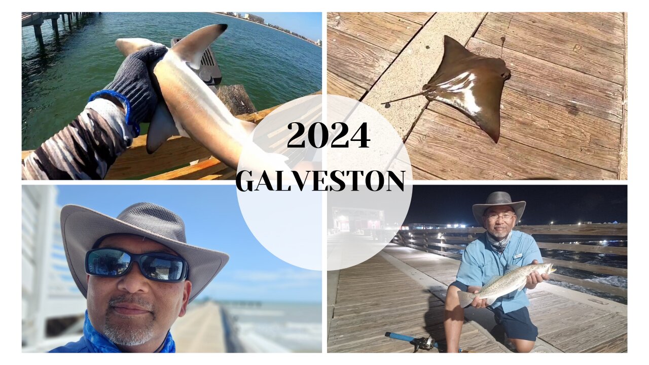 Galveston Fishing Pier 2024 #saltwater #fishing #pierfishing