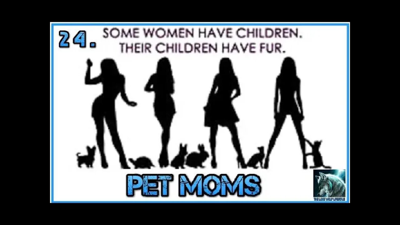 Pet mom's are choosing pets over having children - Episode 24