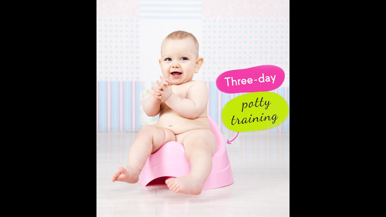 The 3 Day Potty Training*Net per sale