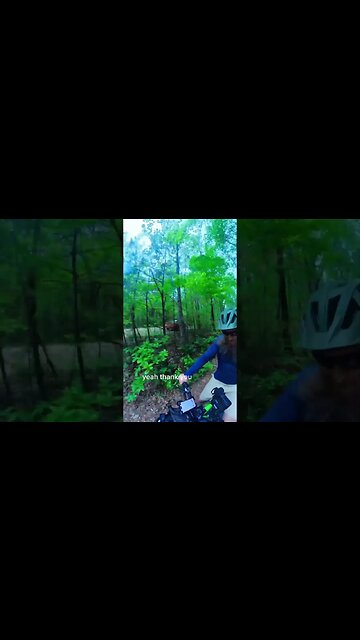 You have one tree you have to go under #cycling #wilderness #electricbikereview #bike
