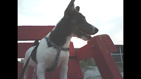 Dakota's First Birthday