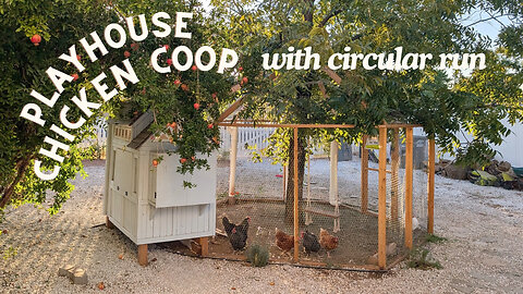 Easy Chicken Coop Build | DIY