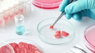 FDA Approves Lab Grown Meat and More News