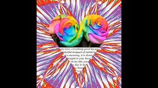 Good morning my love, brought a bouquet of rainbow roses, love you! [Message] [Quotes and Poems]