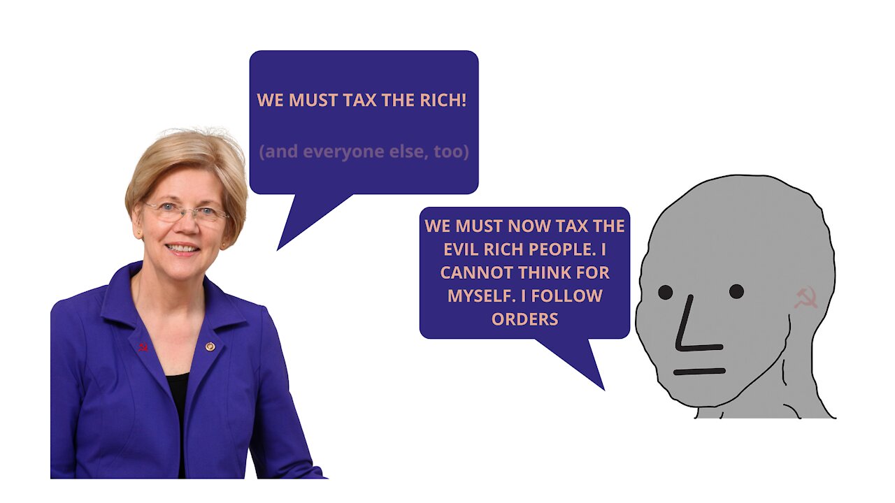 What do you think of Liz Warren's wealth tax???