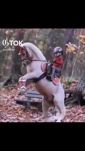 CHILD BECAME🏡🐎👶FAMOUS HORSE WHISPER👧🏼🐎🏡💫