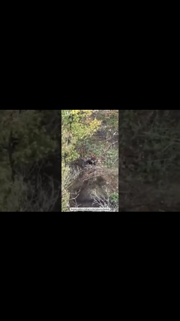 Russia Ukraine War: Russian soldiers hiding in a fox hole are attacked #shorts