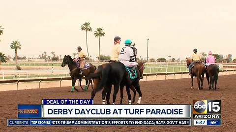 Check out the Derby Dayclub at Turf Paradise